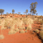 desert uluru austràlia