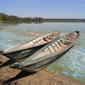 Llac Sandoval Tambopata Perú