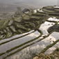 Sapa